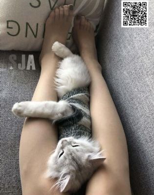 办公室诱惑_BD英语在线视频播放